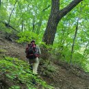 별빛사랑 민박 이미지