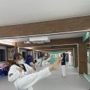 태아일체 다온태권도장 이미지