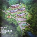 산림기능사 국가기술자격증 과정 이미지