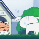흰둥이 이미지