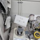 대한카독크 이미지