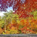 경상북도산림과학박물관(휴관) 이미지