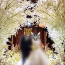 투어비스타 | 26년 하반기 광주 글로리아 웨딩홀 3층 비스타홀 투어 후기 ٩( ᐛ )و 계약X