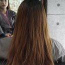 천연퀀즈헤나 이미지