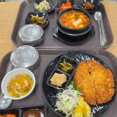 주식회사 더비앤리치 | 대마도 당일치기 배편 팬스타 쓰시마링크호 예약 부산여행특공대