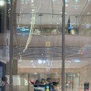 세라핌어린이집 | 3개월간의 다이어트 센터 후기