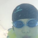 천안 소노벨 오션 월드 (워터파크) 이미지