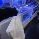 싸게 파는 집 | 청주강서동횟집 청주방어맛집 회싸게파는집 강서동술집 솔직후기