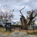 또박이농장 | #부산 #사상구 #근린공원 #23개월아기랑 #주례동 #놀이터 #부산무료키즈카페 #스타벅스 #미션음료 #돌체...