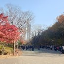 용의발광장 이미지