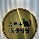 경기동물병원 이미지