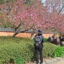 해파랑길 39코스 바우길 05구간 이미지