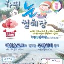 가평썰매장식당