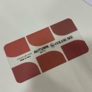 롯데리아김해내외DI점 | 김해 퍼스널컬러 진단 잘하는곳 컬러미 내돈내산 방문후기