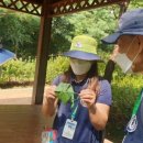 미래숲유치원 이미지