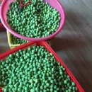 커피허브 이미지