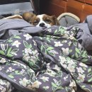 이마트24 용산신창점 | 아롱별님들 2025년 한 해 수고 많으셨어요( •̀ ω •́ )✧