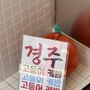 에이프레임익스프레스 이미지