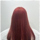 소유헤어살롱 - 아산시 | 소유헤어살롱
