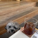 노마드 커피 이미지