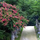 서동공원 이미지