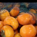 가정1-02-010 이미지