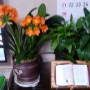 동행상사 이미지