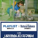 플레이리스트