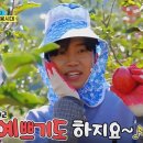 팡팡 - 함안군 가야로 79 | 팡팡
