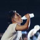 슈웨트