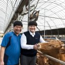 K-farm농장 이미지