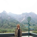 스타호텔 이미지