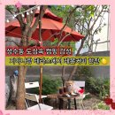 성수햇살약국 | 성수 카페 레모 도심속 캠핑장 분위기 브라우니 꿀케이크 레몬커피 내돈내산 애견동반 후기