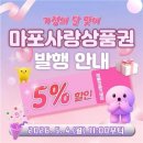 마포구 ‘마포사랑상품권’ 100억 원 발행…5월 4일 서울페이+ 통해 판매 이미지