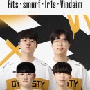 OWL e-sports 이미지