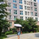 카르페디엠플라워 | 카르페디엠 봄향기 암막 3단수동우산 C053🌸 양산 겸용으로 딱 좋은 패턴 우산!
