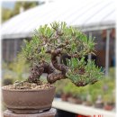 해송4로 이미지