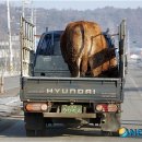 행복한소