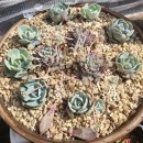 원성25길 이미지