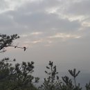 브이오에스 카카오 검색결과