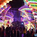 공룡민박 이미지