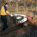 약천농장 이미지