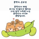 🐣3월28일/목요일 부김방🐣 이미지