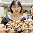 롯데백화점 이미지