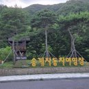 송계당 | 제천 송계자동차야영장 B7 사이트 후기 (월악산 국립공원 송계자동차 오토캠핑장)