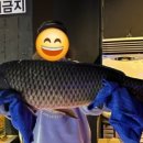 놀이터낚시카페 이미지