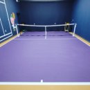 프리 스크린 골프연습장 이미지