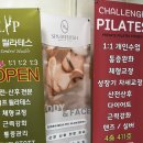 스파리프레쉬