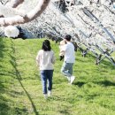 오가네 농장 이미지