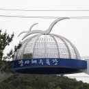 작전공원 이미지